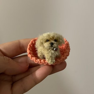 May include: A small, crocheted dog wearing a silver collar with a red heart charm sits in a peach-colored crocheted bed.