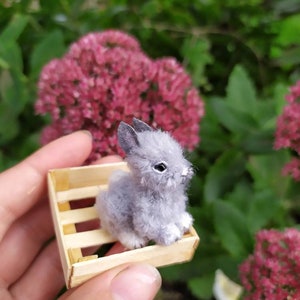 May include: A small gray bunny rabbit sitting in a wooden crate. The bunny has white feet and a fluffy tail.