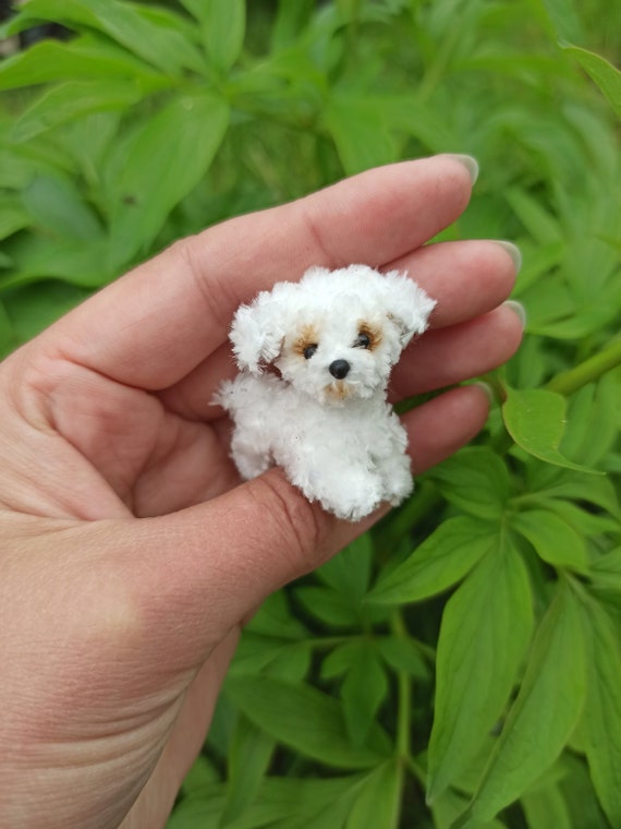 Miniature Realistic Maltese Dog Minitoy Ooak Puppy Pet Friend for Doll  Custom Dog Figurine Dollhouse Miniatures Handmade Ukrainian Artist -   Denmark