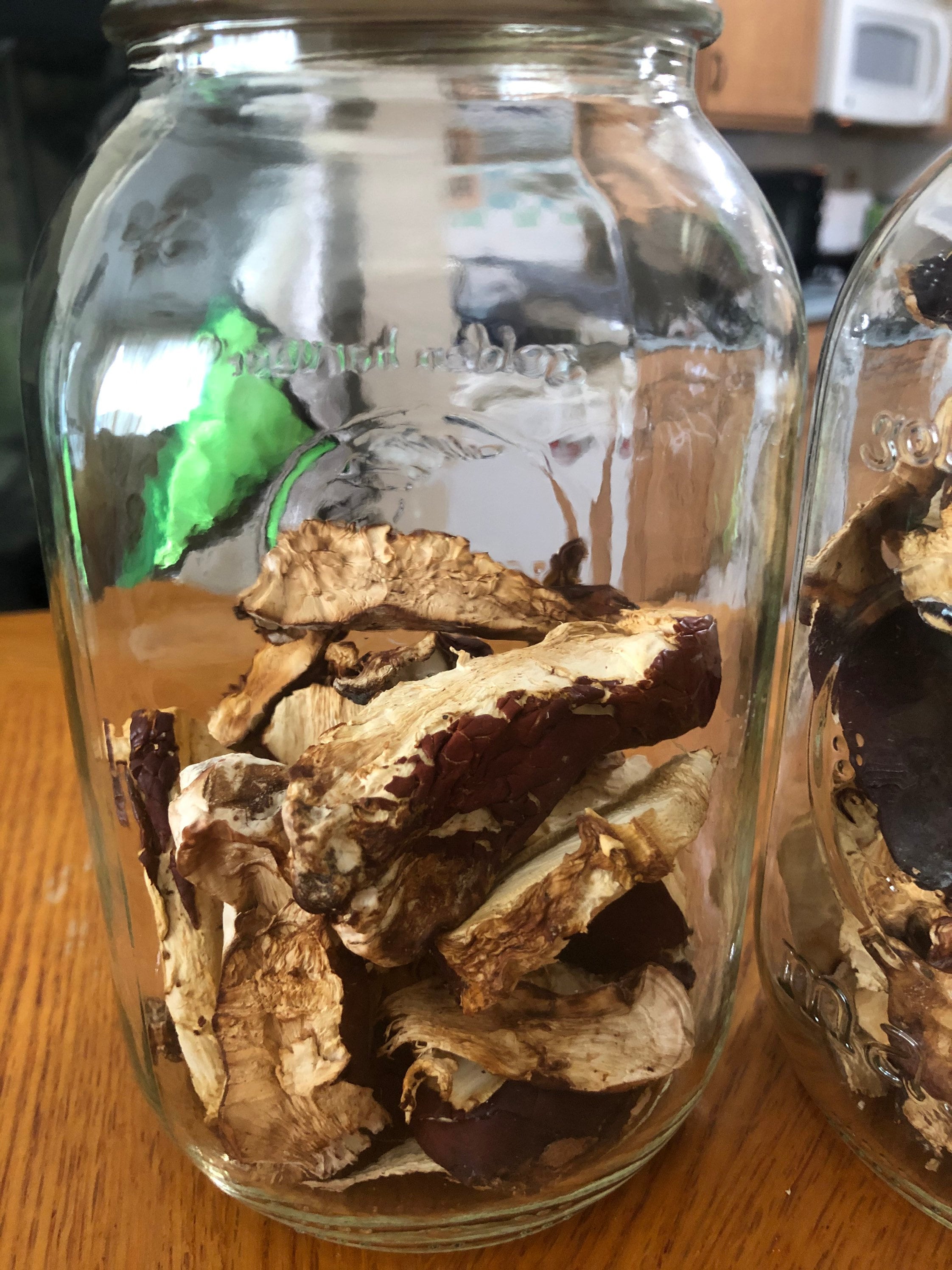 Dried reishi mushrooms locally foraged Etsy