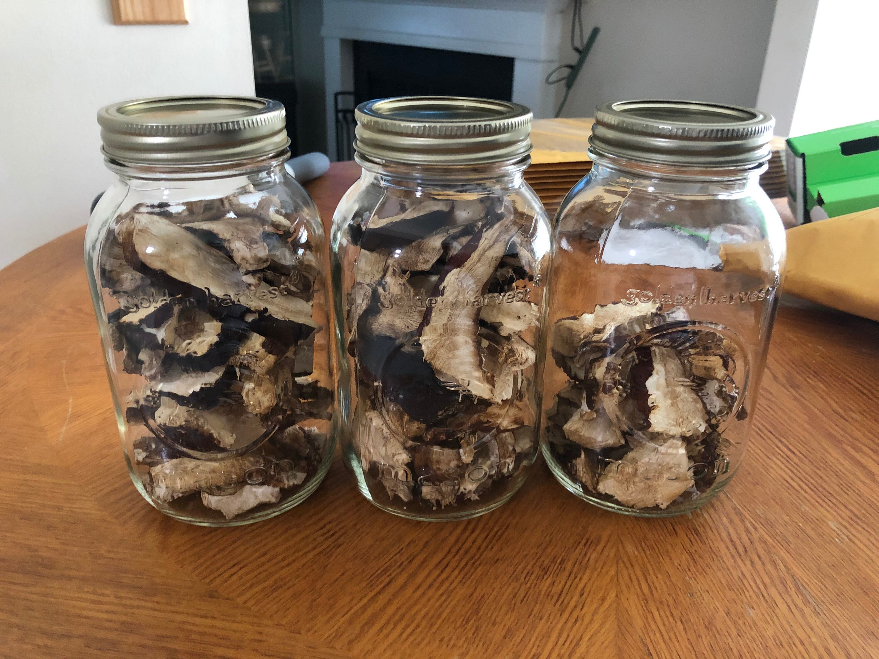 Dried reishi mushrooms locally foraged Etsy