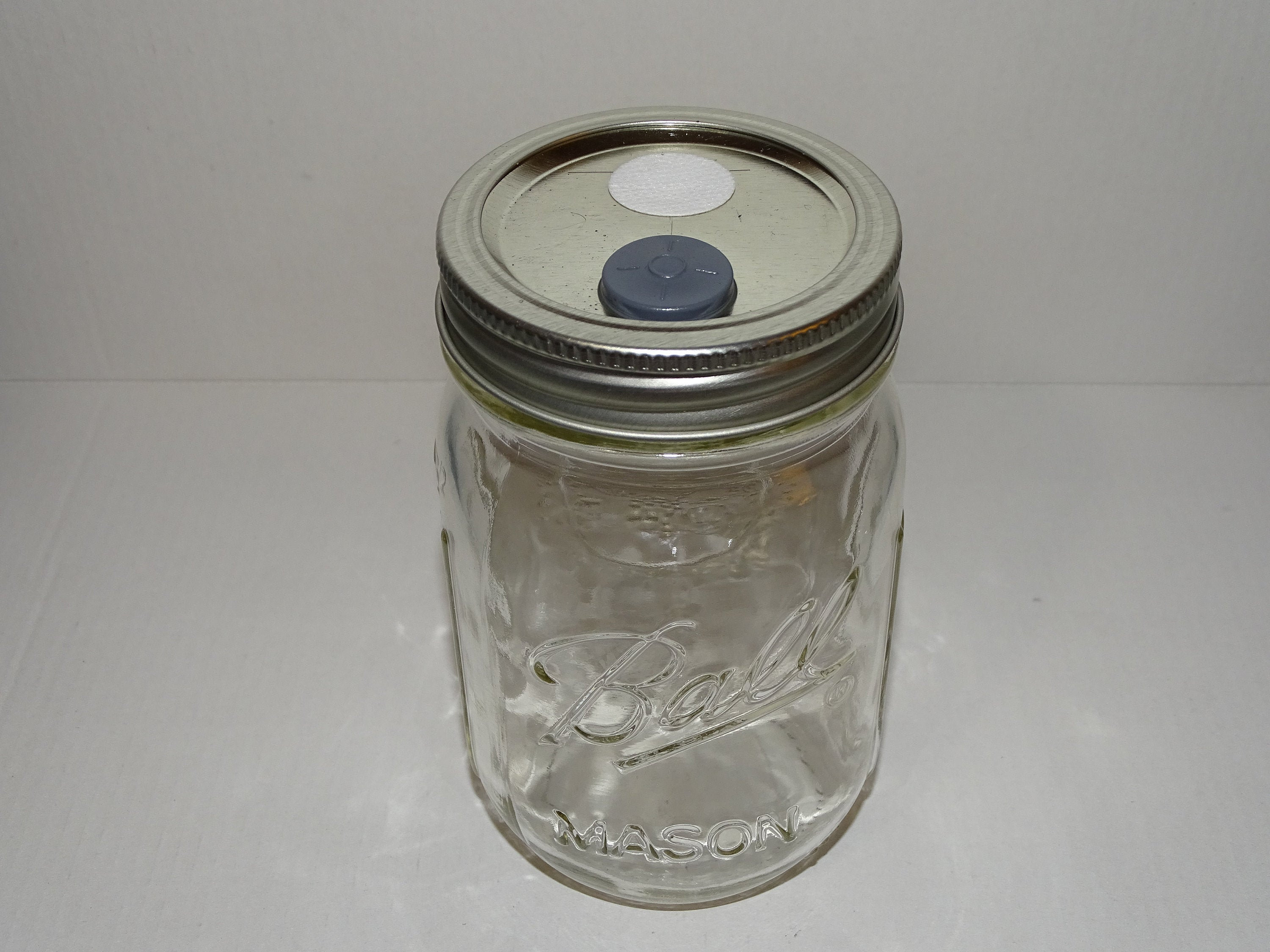 Oakmonte Mycology Mushroom Liquid Culture Jar and Lid With Etsy