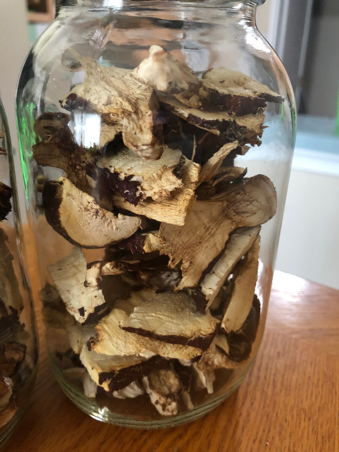 Dried reishi mushrooms locally foraged Etsy