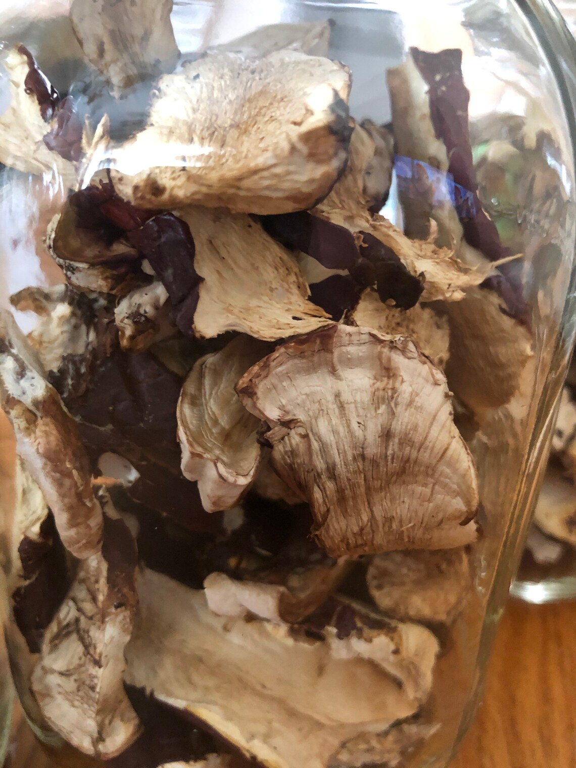 Dried reishi mushrooms locally foraged Etsy