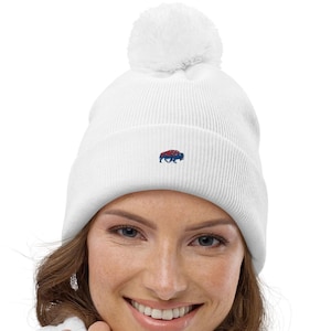 Beanies with bills on them shop