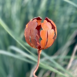 Flor en flor - Estaca de jardín de metal oxidado - Arte rústico para jardín al aire libre