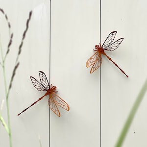 Rusted Metal Dragonfly Sculpture: Garden Wall Decor