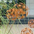 3D Garden Decoration – Dandelion – Rusty Metal Outdoor Sculpture product logo