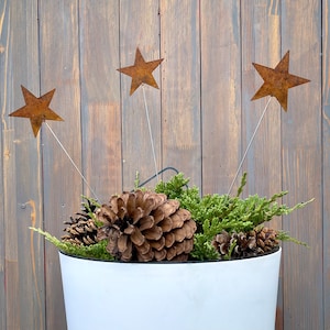 Rustic Metal Star Plant Stakes (Set of 3) - Garden Christmas Decor
