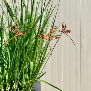 May include: Three metal dragonfly garden stakes in a pot of green grass. The dragonflies are brown and have a delicate, intricate design.