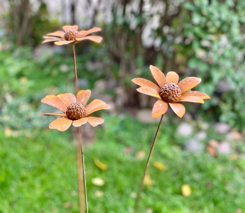 3D Chamomile-Daisy Metal Sculpture Rusty Garden Stake Rusted Flower Yard Decor Outdoor Garden Art image 6