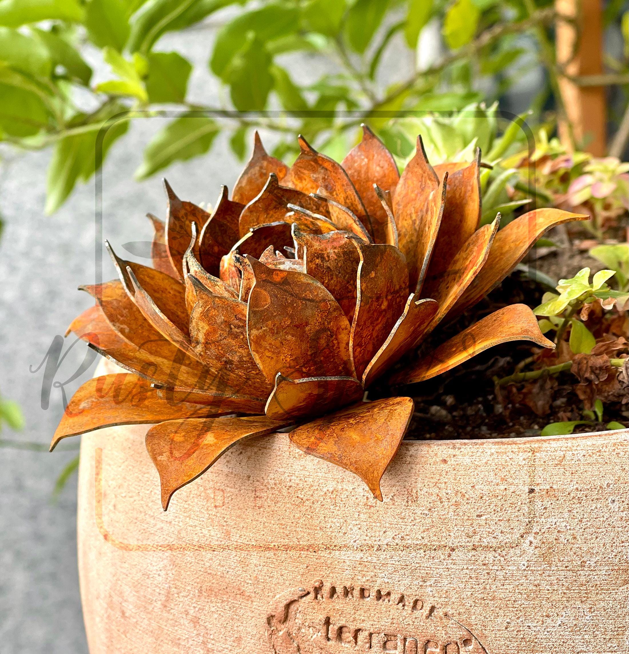 Metal Succulent - Etsy