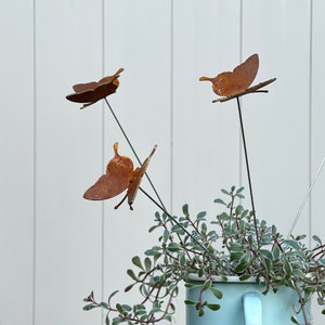 May include: Three rusty metal butterflies on wire stems are arranged in a pot of green leafy plants. The butterflies are a light brown color and have a rustic, aged look.