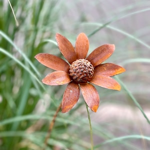 3D Chamomile-Daisy Metal Sculpture Rusty Garden Stake Rusted Flower Yard Decor Outdoor Garden Art image 3