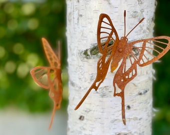 Papillon en métal 3D pour décoration de mur et de clôture - oeuvre d'art en métal rouillé - sculpture inspirée de la nature pour l'extérieur - oeuvre d'art de jardin extérieur