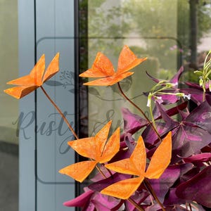 Peut inclure: Gros plan sur des sculptures de fleurs en métal orange avec un design de trèfle à trois feuilles. Les sculptures sont placées sur un fond de feuillage violet et vert. Le mot "Rusty" est visible dans l'image.