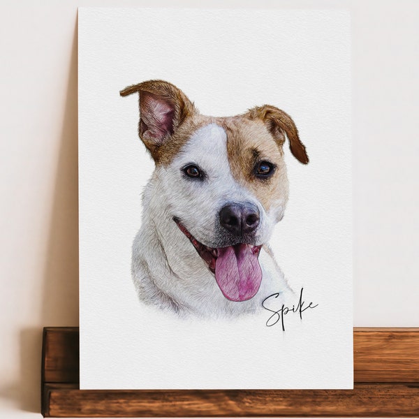 Colour Sketch Pet Portrait, Pencil Drawing Style, Personalised Dog Portrait, Pet Memorial Gift, Printed Dog or Cat Wall Art, SkuSCR-PCSIG