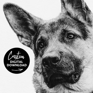Digital Drawn Custom Pet Portrait, Black & White Pencil Style Sketch, Download Personalised Dog Sketch, Pet Memorial Gift, SkuSCR-PBSIG