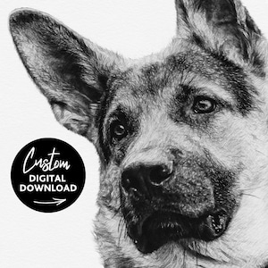 Ritratto personalizzato di un animale domestico disegnato digitalmente, schizzo in stile matita in bianco e nero, scarica schizzo personalizzato di un cane, regalo commemorativo per animali domestici, SkuSCR-PBSIG