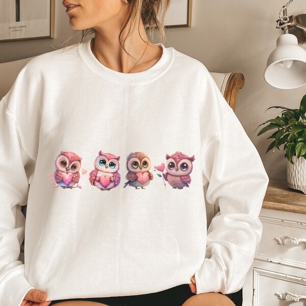 Eulen Liebhaber Sweatshirt, süßes Valentinstag Shirt, Eulen Pullover, Liebe Shirt, süßes Valentinstag Geschenk für sie, Valentinstag Geschenk Ideen