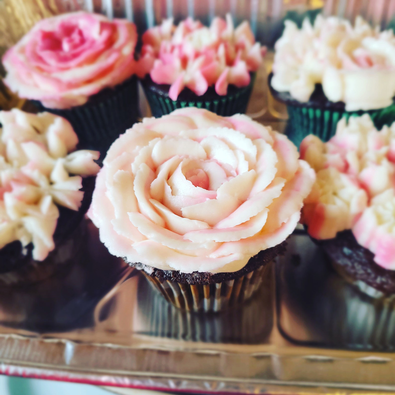 Dozen Cupcakes local delivery only Etsy