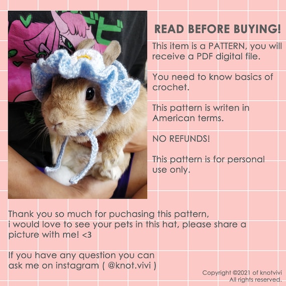 Aazon.co : Colorful Pet Sun Flower Hat! Teddy Dress Up Flower