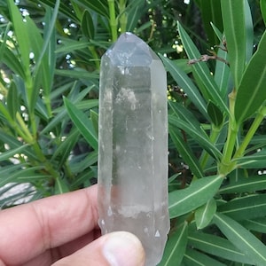 Smokey Starbrary Lemurian, Tantric Twin, Point Slightly Nicked, with Etchings and Rainbows. From Brazil.