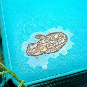 May include: A turquoise binder with a decorative sticker of a coiled snake. The sticker is tan and brown with a white outline and gold accents. A black lizard silhouette is visible at the top. The binder has a zipper closure and a silver handle.