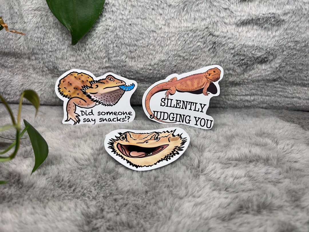 Bd Sticker Bearded Dragon Vinyl Sticker 3-pack - Etsy
