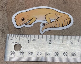 Gecko lizard cottagecore Sticker – VulgrCo