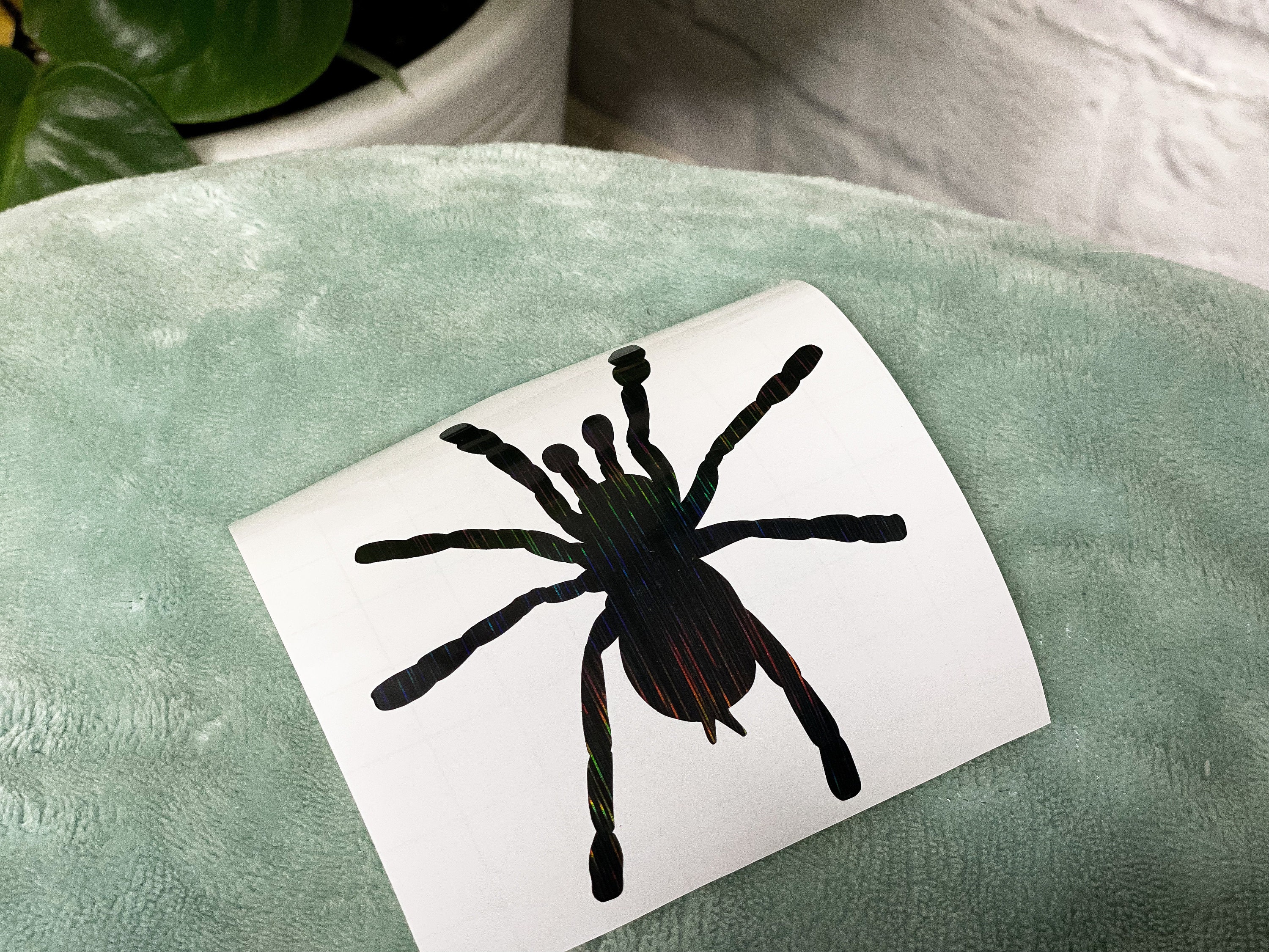 Custom Tarantula Cutout Stickers/Labels