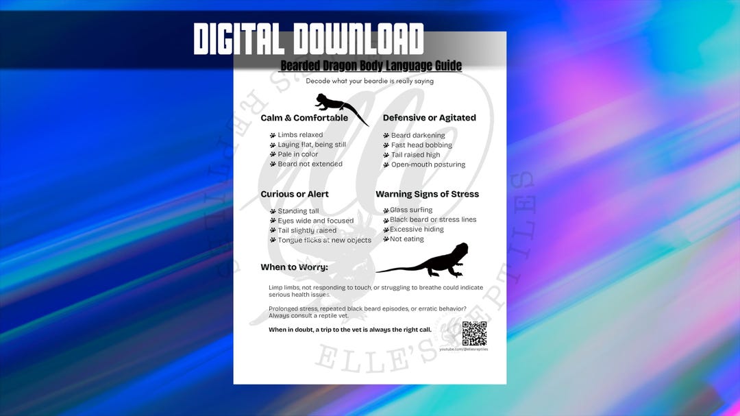 Bearded Dragon Body Language Guide Reptile Notebook Printables