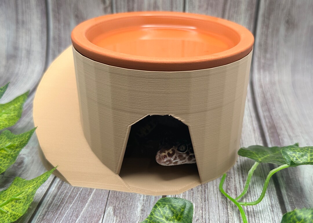Humid Hide for Reptiles Terracotta Clay Moist Hide Etsy