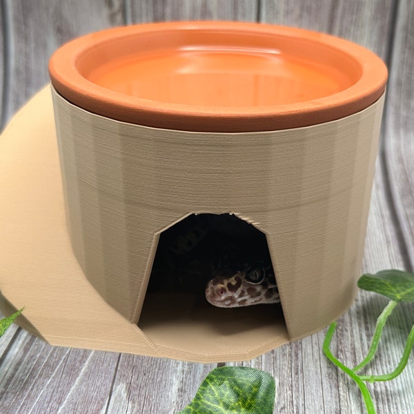 Humid Hide for Reptiles | Terracotta Clay Moist Hide