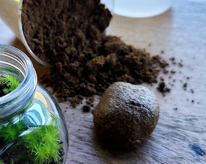 Terrarium Modeling Soil by Green Mountain Moss 5oz Small Bag Clean