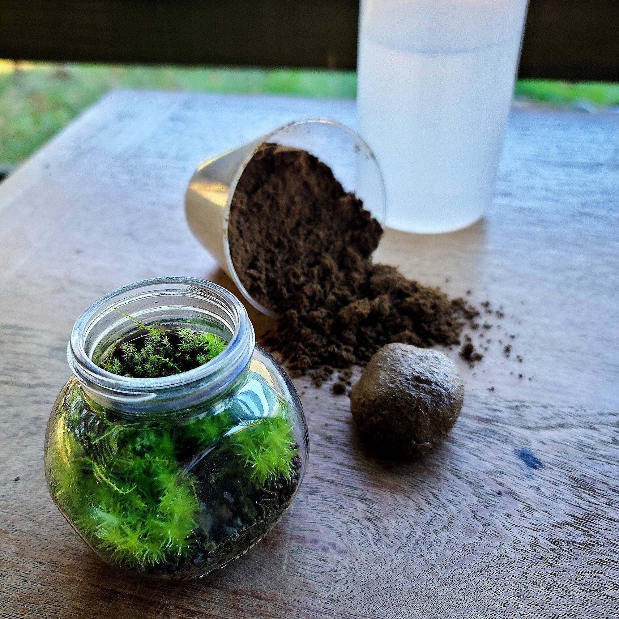 Terrarium Modeling Soil by Green Mountain Moss 5oz Small Bag - Clean