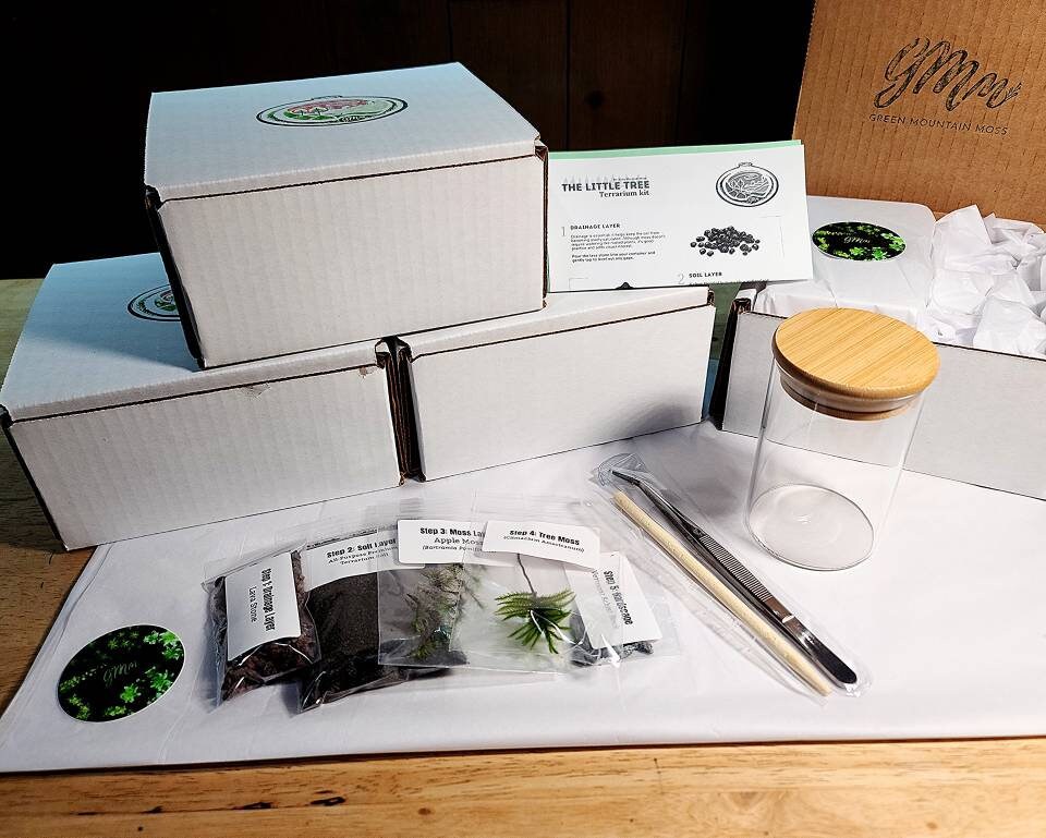 The Little Tree Terrarium Kit by Green Mountain Moss Live Moss