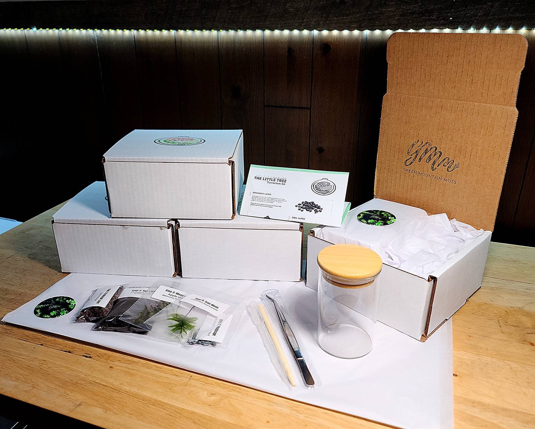 The Little Tree Terrarium Kit by Green Mountain Moss Live Moss