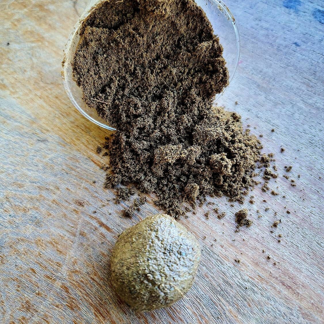Terrarium Modeling Soil by Green Mountain Moss 5oz Small Bag Etsy