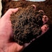 see more listings in the Soil and Substrate section