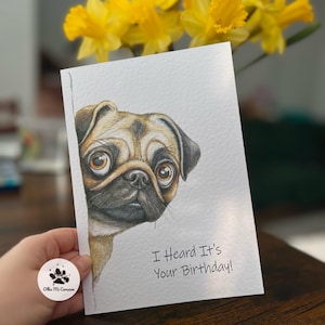 Biglietto di auguri di compleanno per cani A5 - Biglietto d'arte con carlino - Carlino che fa capolino Biglietto di auguri - Ho sentito che è il tuo compleanno - Biglietti con carlino curioso e acquerello dell'artista