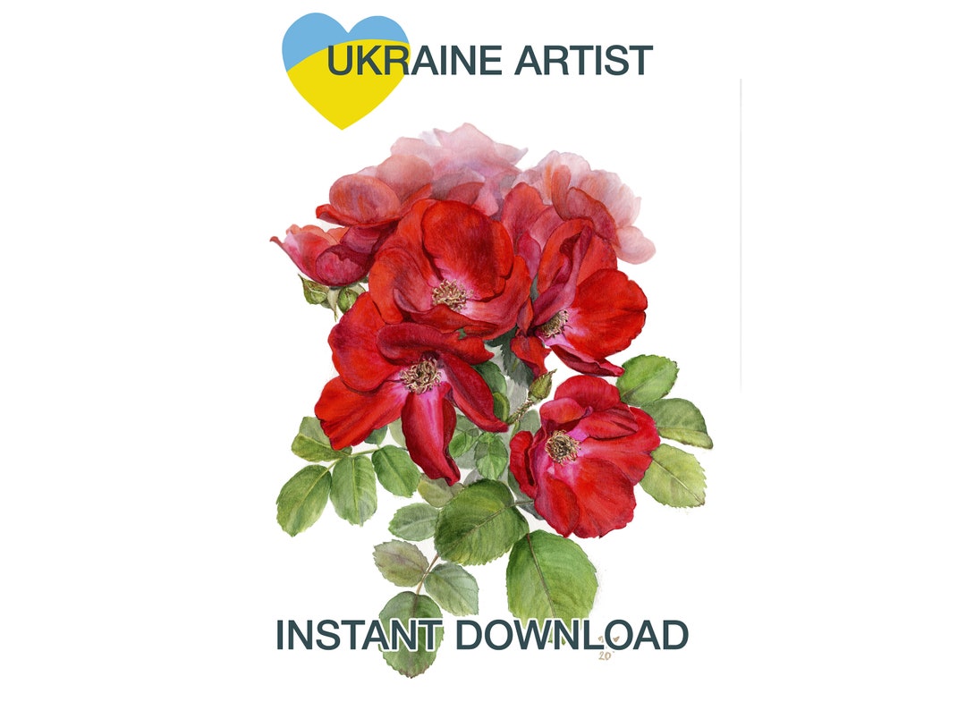 Watercolor Rose. Ukraine Artist Olha Mi Corazon, Ukraine Seller Shop
