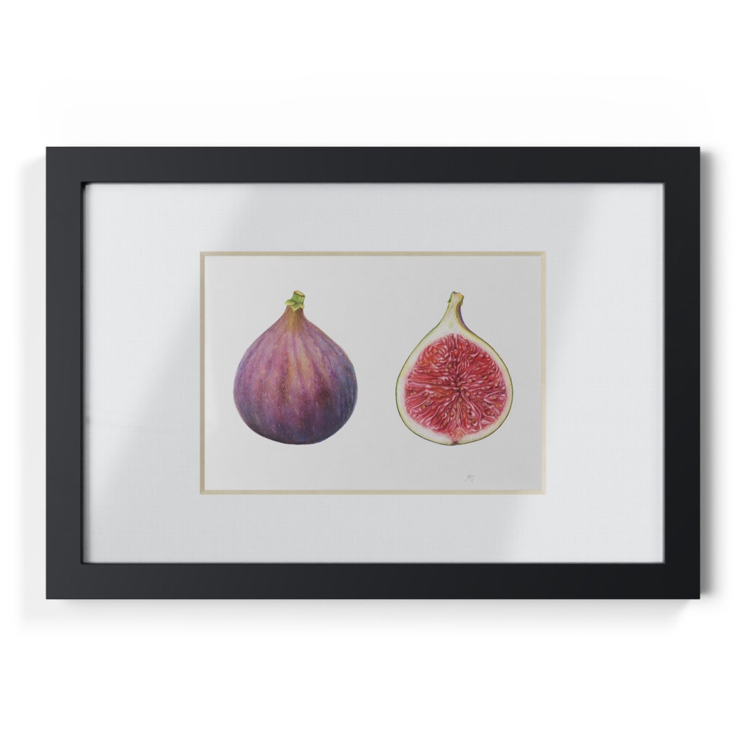 Figs. Watercolor Original Painting. Artist Olha Mi Corazon. Etsy