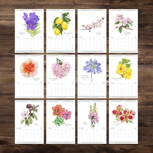 Botanical 2025 Calendar, Flower Illustrated Wall Calendar 2025, Floral hand painting Calendar from artist, Large A3 Monthly Wall Calendar