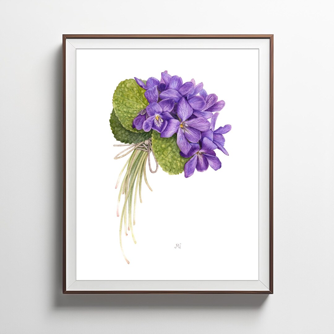 The Viola Odorata Reproduction From Original Painting, Watercolor ...