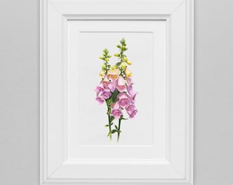 Foxglove, Digatalis original watercolor painting by Artist Olha Mi Corazon, Realistic Botanical illustration, English Flower decor wall art