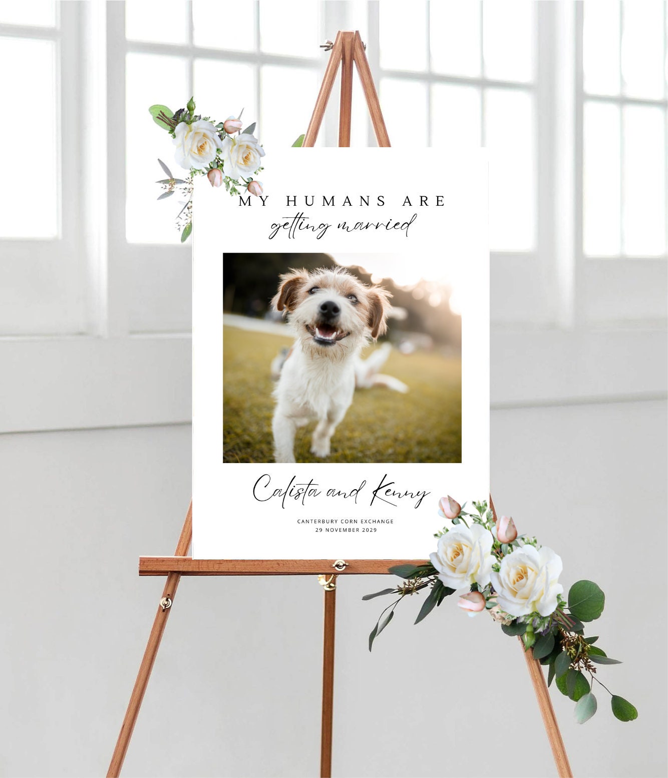 Hundehalstuch 'My Humans Are Getting Married' – Für Hochzeiten & Verlobungen, Weiß/schwarz