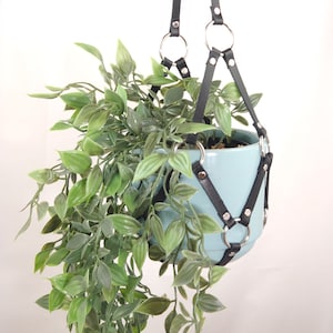 Bondage Plant Hanger - Etsy