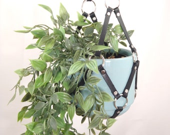 Plant hanger harness, bdsm style room decor