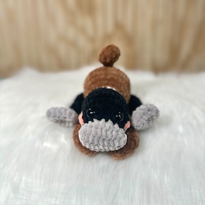 May include: A brown and black crocheted plush toy shaped like a platypus. The toy has a gray snout and black eyes.
